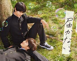 片在线看一级海报剧照