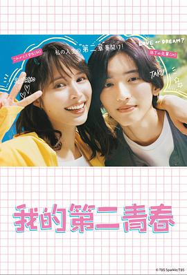 萤火虫之夜海报剧照